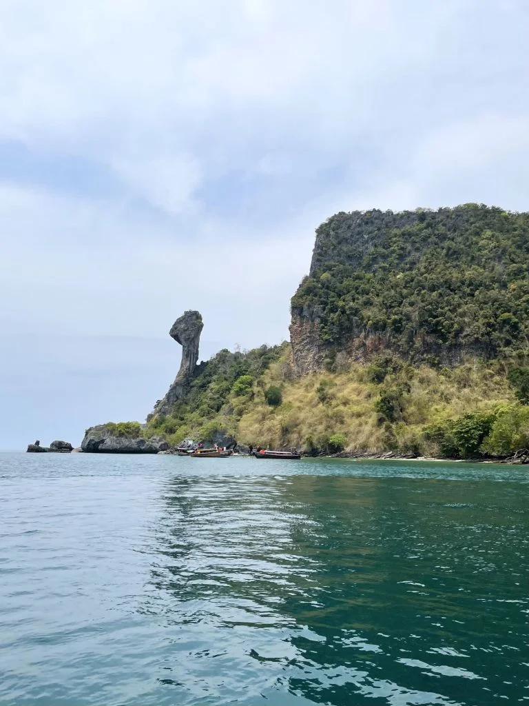 chicken island